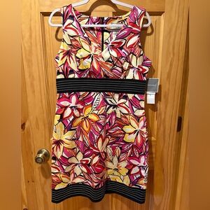 Dby LTD women's size 12 floral print dress NWT